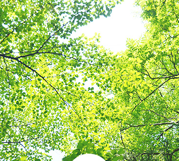 ECOLOGY
